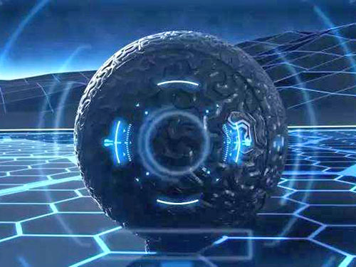 湘潭福莱尔园林有限公司_园林景观设计|苗木批发简介